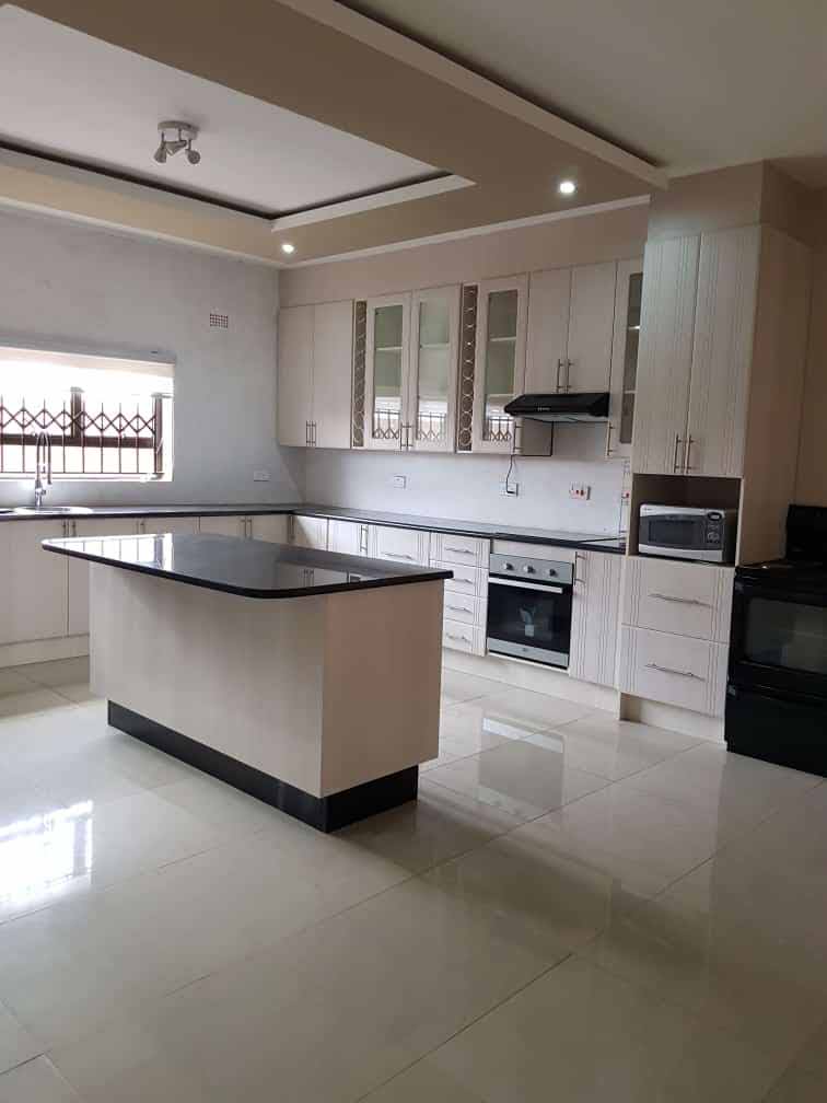 Modern Kitchen Renovation